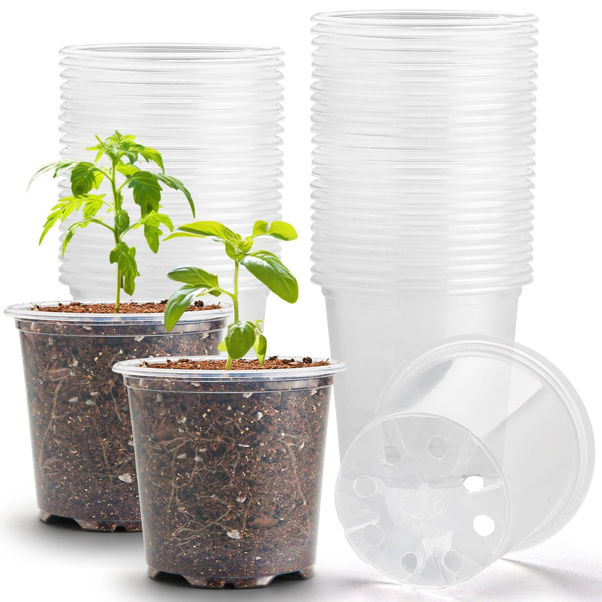 RooTrimmer 4" Clear Seeding Pots 50-Pack Round for Seeds Starting, Seeds Germination Transparent Nursery Pots with Drainage Holes (4Inch,Clear,50Pcs)