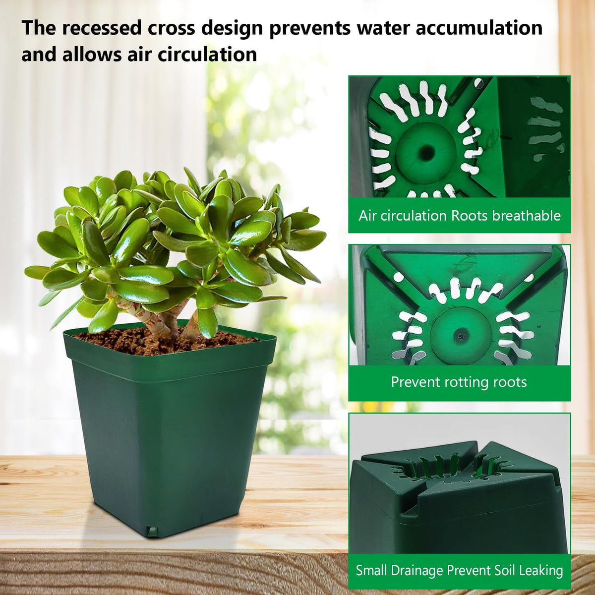 RooTrimmer Square Nursery Succulent Pots 4 Inches 60 Pcs Deep Flower Plant Nursery Seedling Grow Pots Plastic with Drainage (Green, 4Inches, 60Pcs)