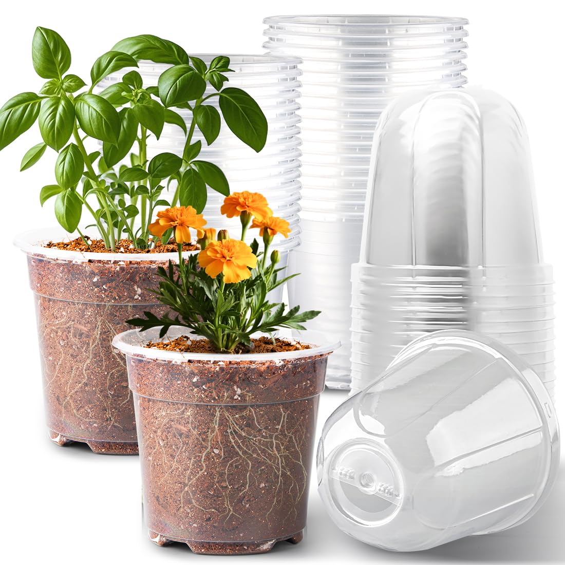RooTrimmer Transparent Nursery Pots 3.5Inch with Humidity Domes for Seeds Starting, Clear Plastic Plant Pots with Drainage Holes (3.54Inch, 40Pcs,Clear Pots with Lids)