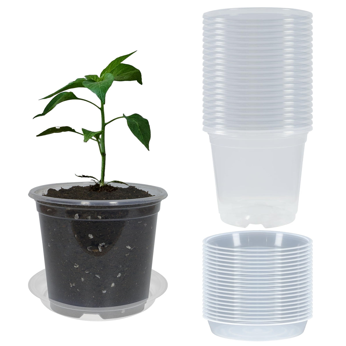 20 Pack 4 Inch Clear Nursery Pots with Drainage and 20 Pack Plant Saucers, Plant Pots for Plants Transparent Potting Containers for Plants Seeding Starter Pot (Clear, 4 Inch)