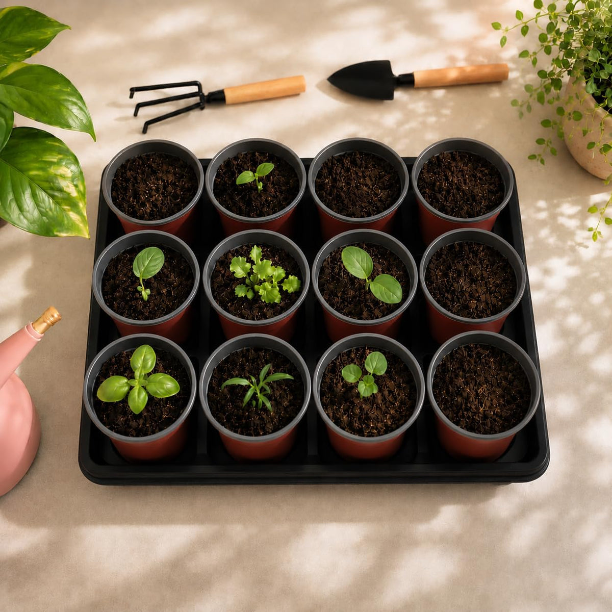 60pcs 3.5 inch Plastic Nursery Pots and 5 Pack Seedling Tray