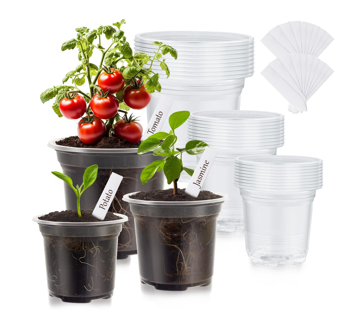 30 Pack Clear Nursery Plant Pots, 4 Inch with Drainage Holes, 20 Labels