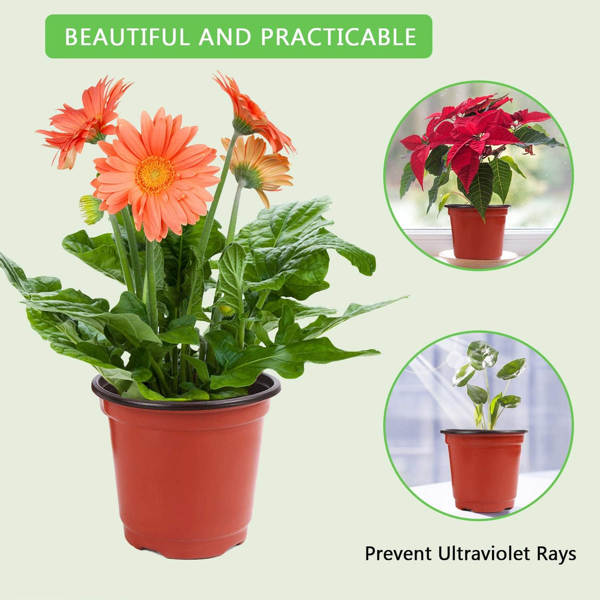 Augshy 220Pcs 4 Inches Plastic Plant Nursery Pots Seed Starting Containers