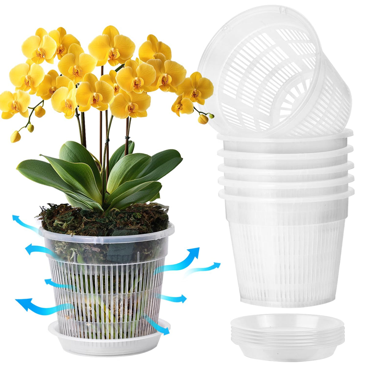 T4U Clear Orchid Pots 4.3 Inch 6 Pack, Orchid Pot with Holes Repotting