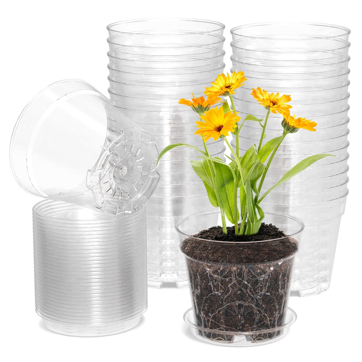 WSMKSZ 3 Inch Clear Nursery Pots, 30 Pack Highly Transparent Plastic Seedling Starter Planters with Drainage Holes and Trays for Flowers, Small Plant Pots for Indoor Plants