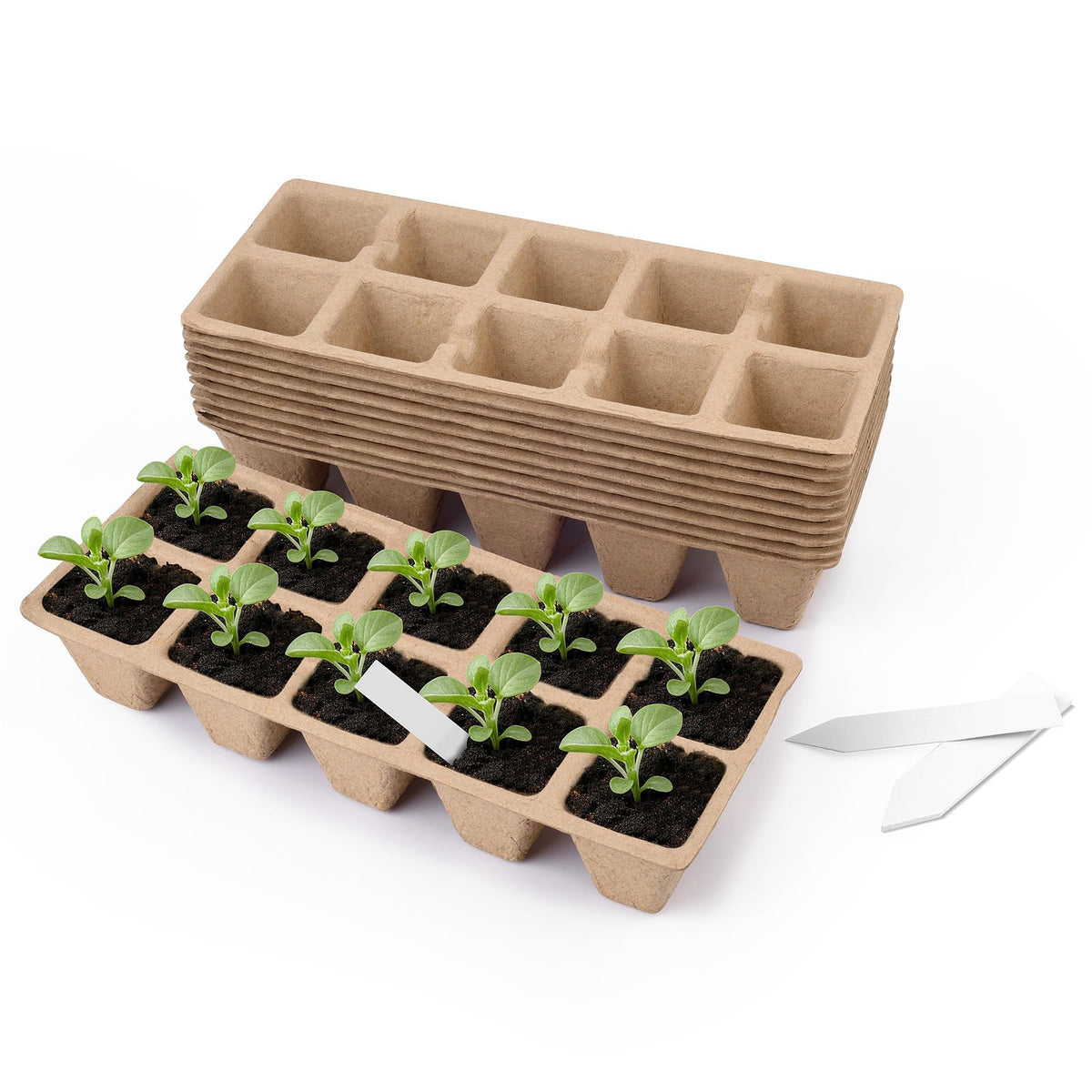 300 Cells Peat Pots, Seed Starter Trays Planting Trays for Seedlings