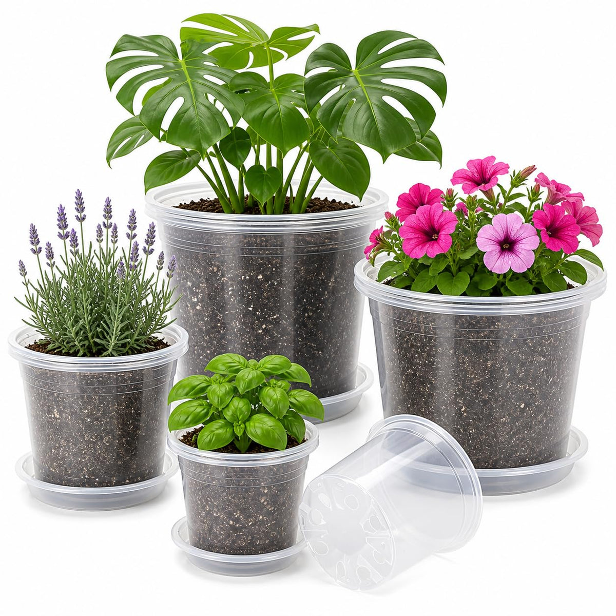 MIXC Clear Nursery Pots with Drainage Holes, 7/5/4/3.5 Inch 36 Pack
