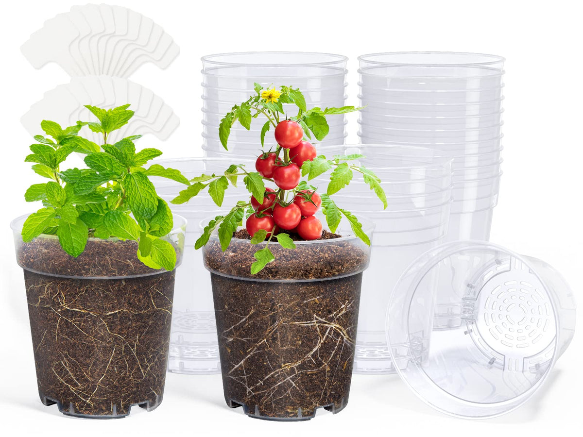 homenote 3/4/5 Inch Clear Nursery Pots with Drainage and 20 Labels (30 Pcs)