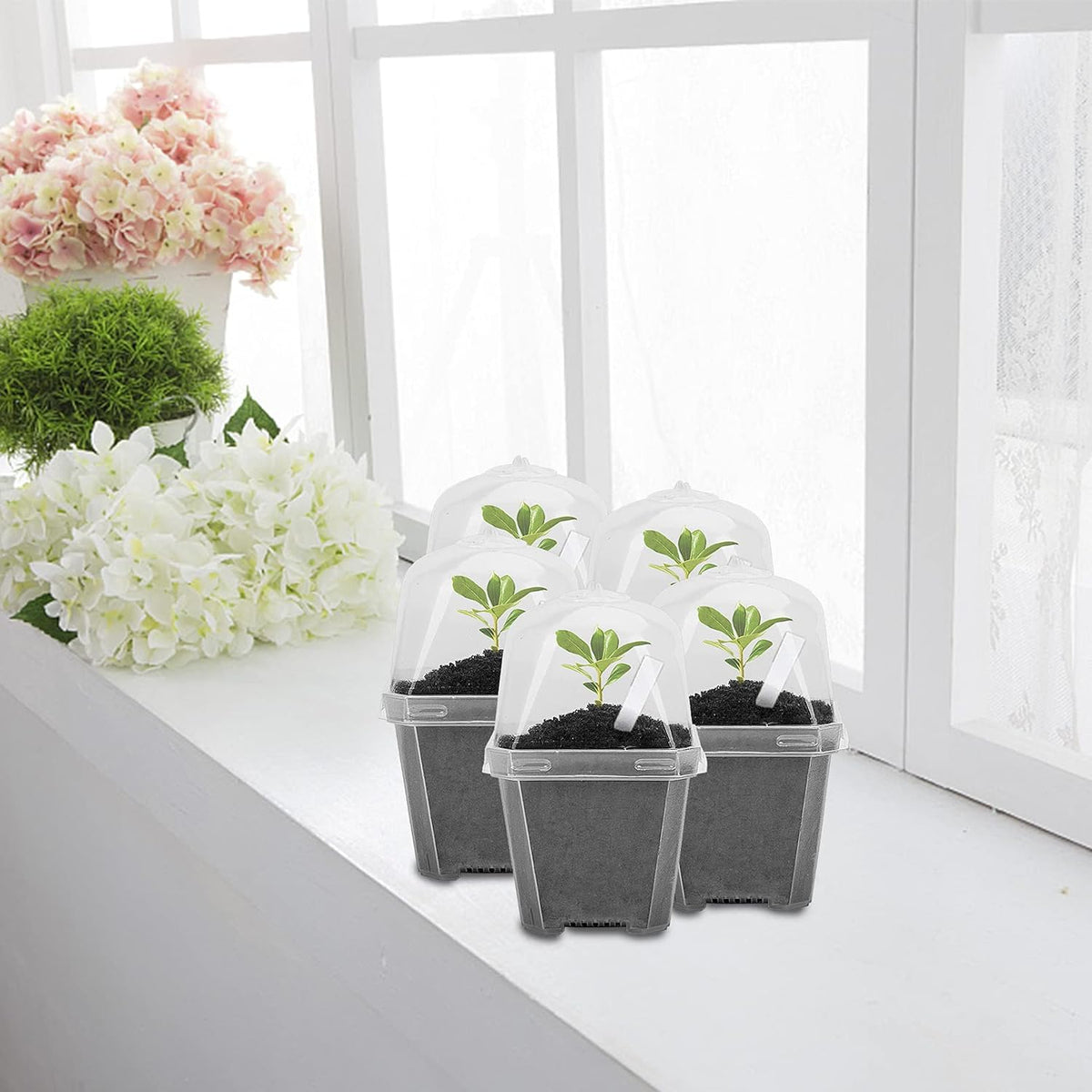 10 Pcs 3" Clear Plant Nursery Pot with Humidity Dome, Plastic Gardening Pot