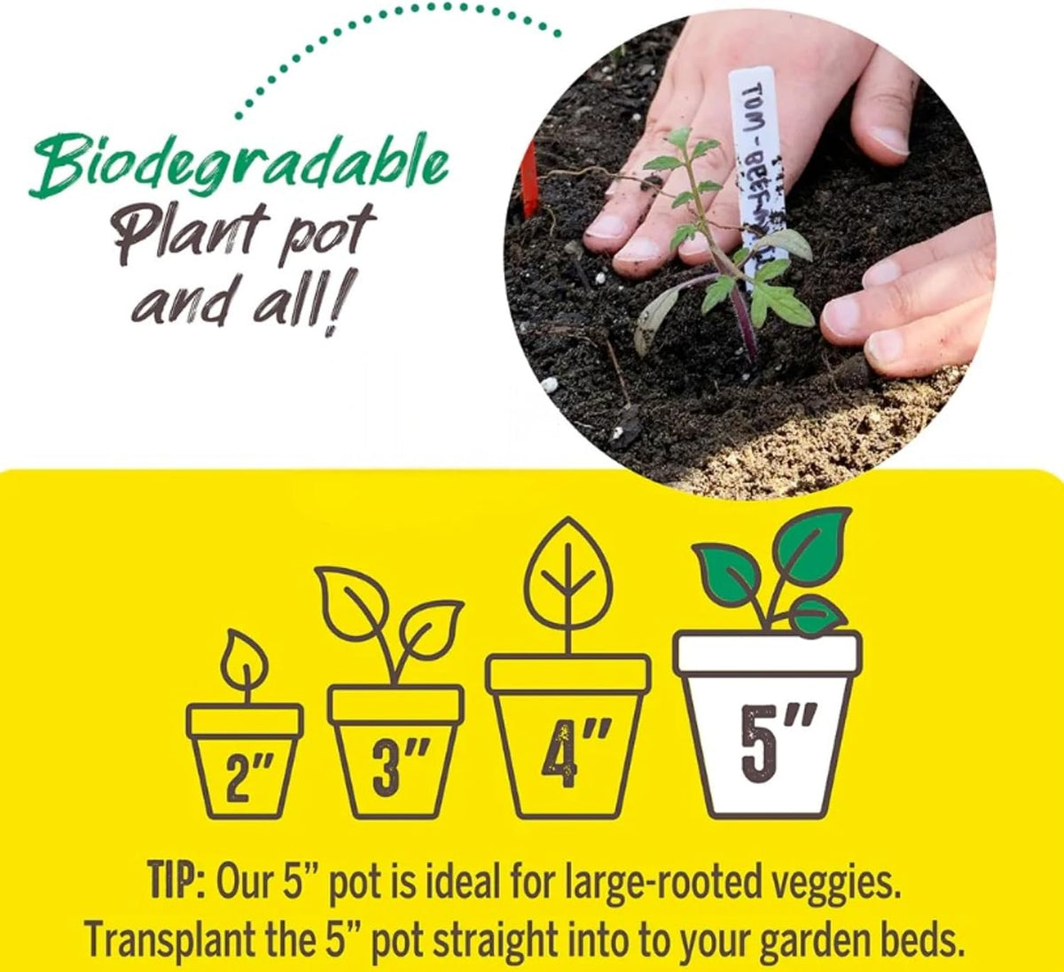 Jiffy Biodegradable Peat Pots for Seedlings, 5 Inch, 24 Pack