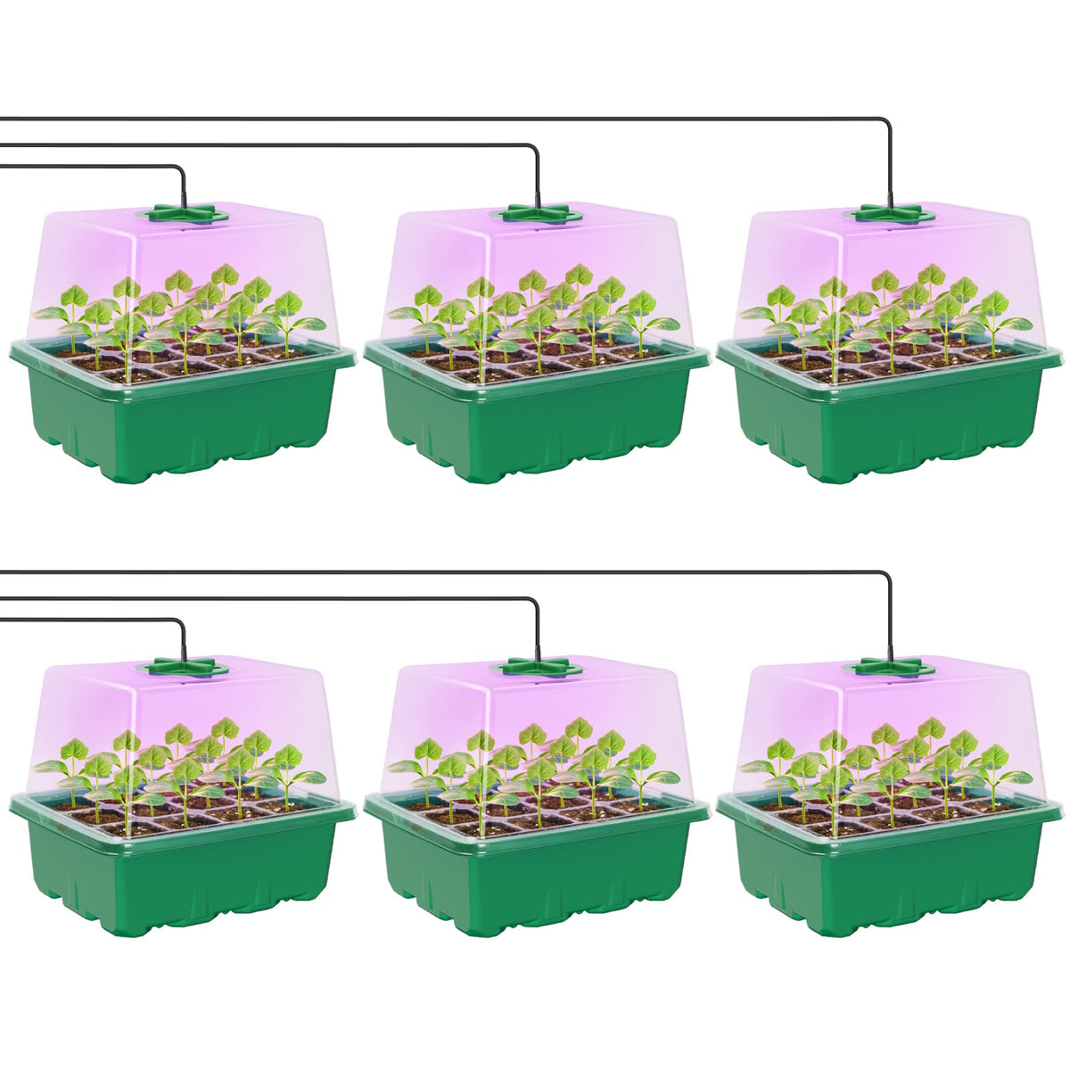 MIXC 6 Pack Seed Starter Kit with Grow Light, Vented Humidity Dome, Green
