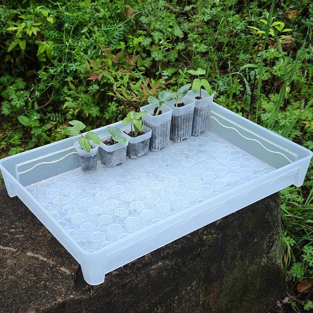 60 Pack 1.95 Inch Tiny Clear Plastic Square Nursery Pot