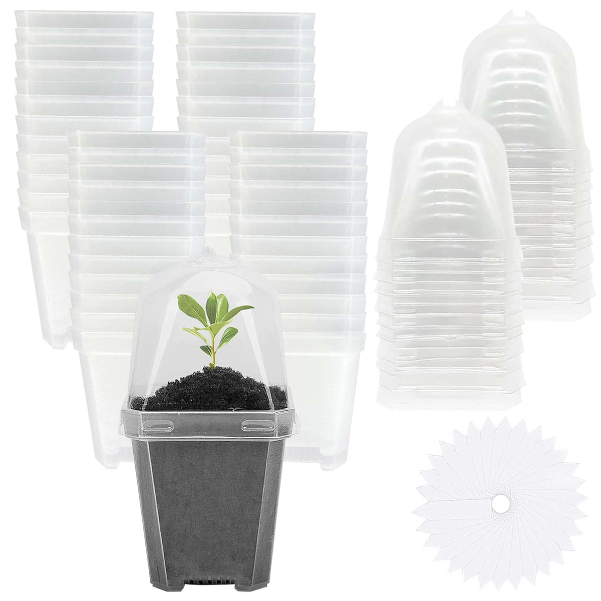 10 Pcs 3" Clear Plant Nursery Pot with Humidity Dome, Plastic Gardening Pot