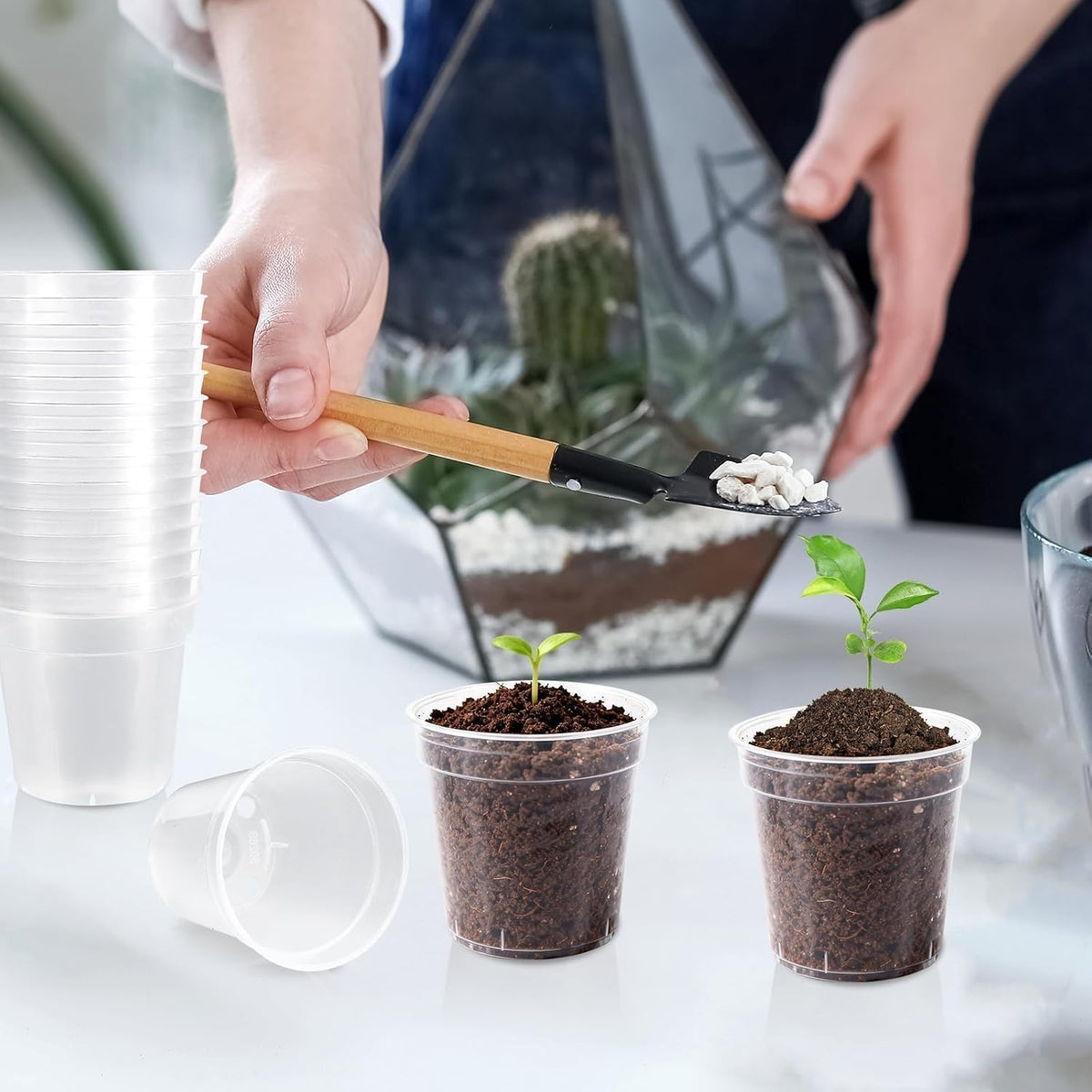 120 Pcs 2 Inch Clear Nurery Pots, Seedling Pots with Drainage Holes