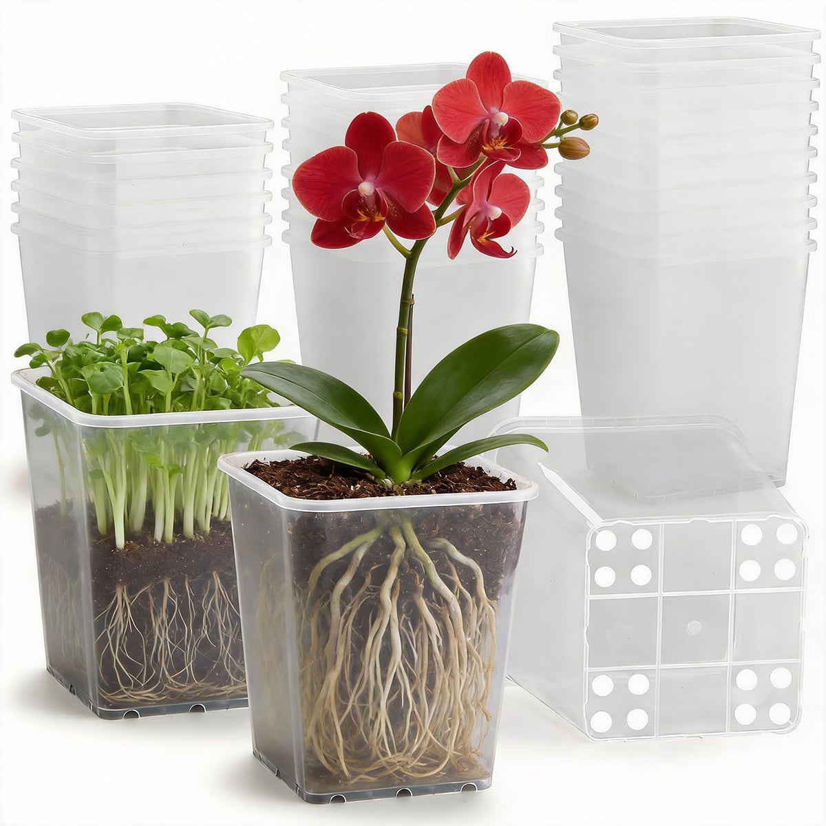 60 Pcs Nursery Pots 2.7 Inch, Plastic Seed Starting Pot with Drainage Holes, Sturdy Seedling pots for Planting, Cuttings (Black)