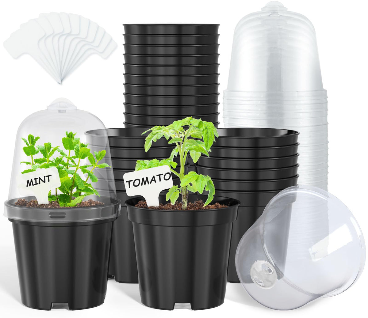 homenote 3/4/5 Inch Clear Nursery Pots with Drainage and 20 Labels (30 Pcs)
