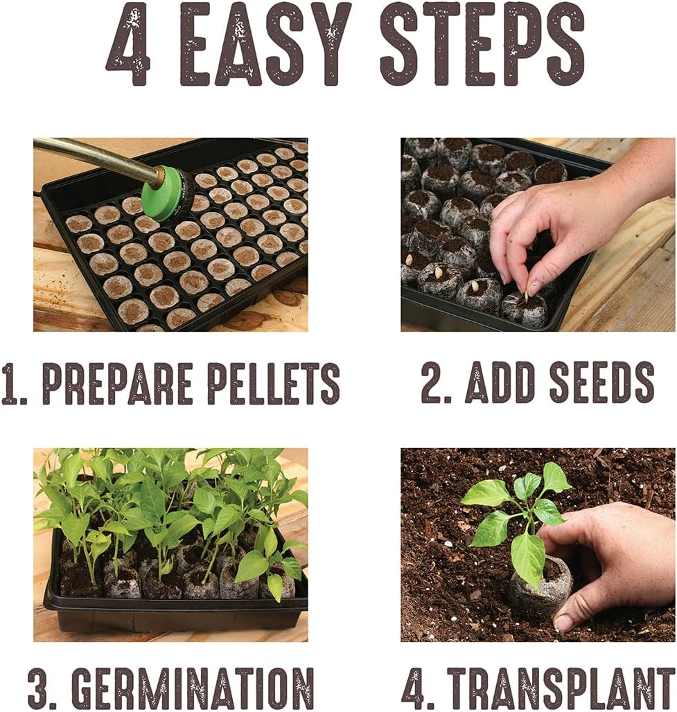 Jiffy Seed Starting Tray Kit - 36 Cell Germination Tray, Portable - 2 Pack, 72 Pellet