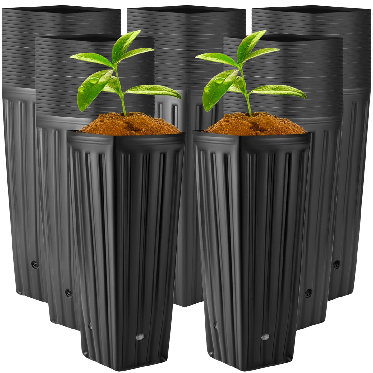 Nuenen Tall Tree Pot, Plastic Deep Nursery Pots