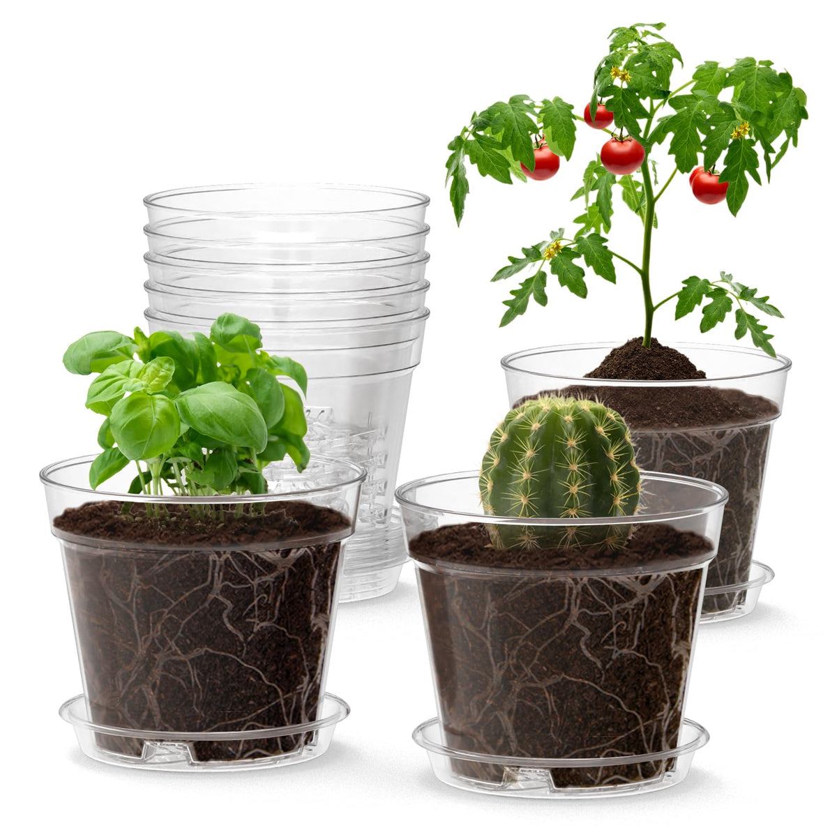 WSMKSZ 3 Inch Clear Nursery Pots, 30 Pack Highly Transparent Plastic Seedling Starter Planters with Drainage Holes and Trays for Flowers, Small Plant Pots for Indoor Plants