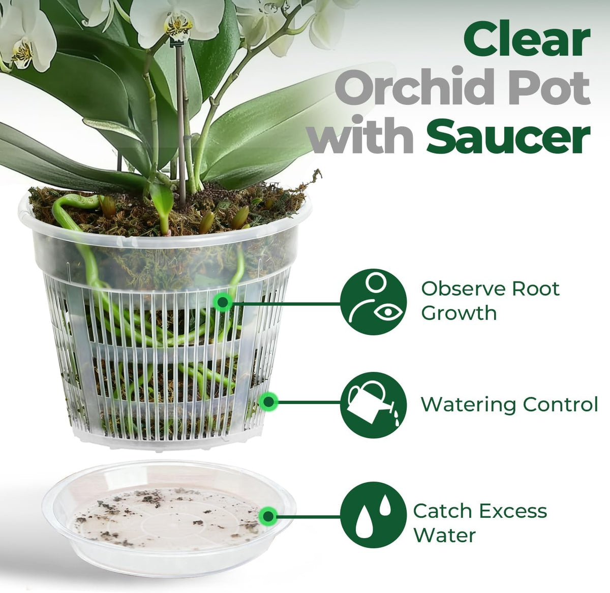 T4U Clear Orchid Pots 4.3 Inch 6 Pack, Orchid Pot with Holes Repotting