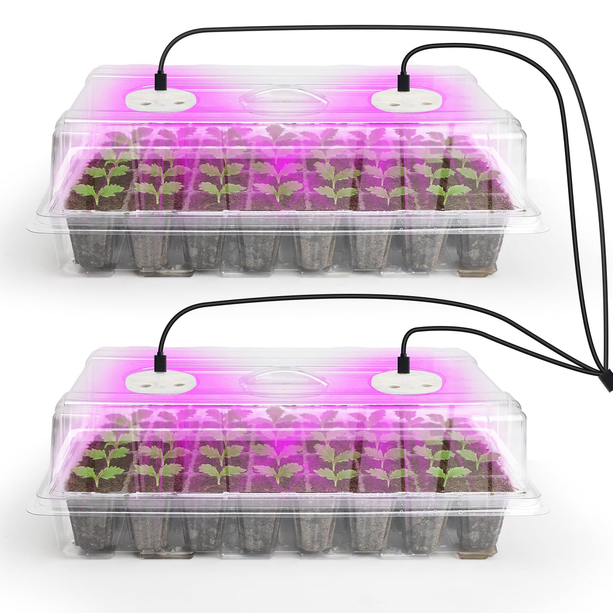 Bonviee Seed Starter Trays with 12-LED Grow Lights, Green, 5 Pack