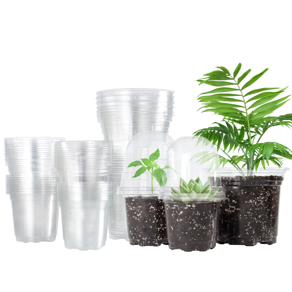Bonviee Clear Nursery Pots with Humidity Domes, 3.5/4/5 Inch, 36-Pack