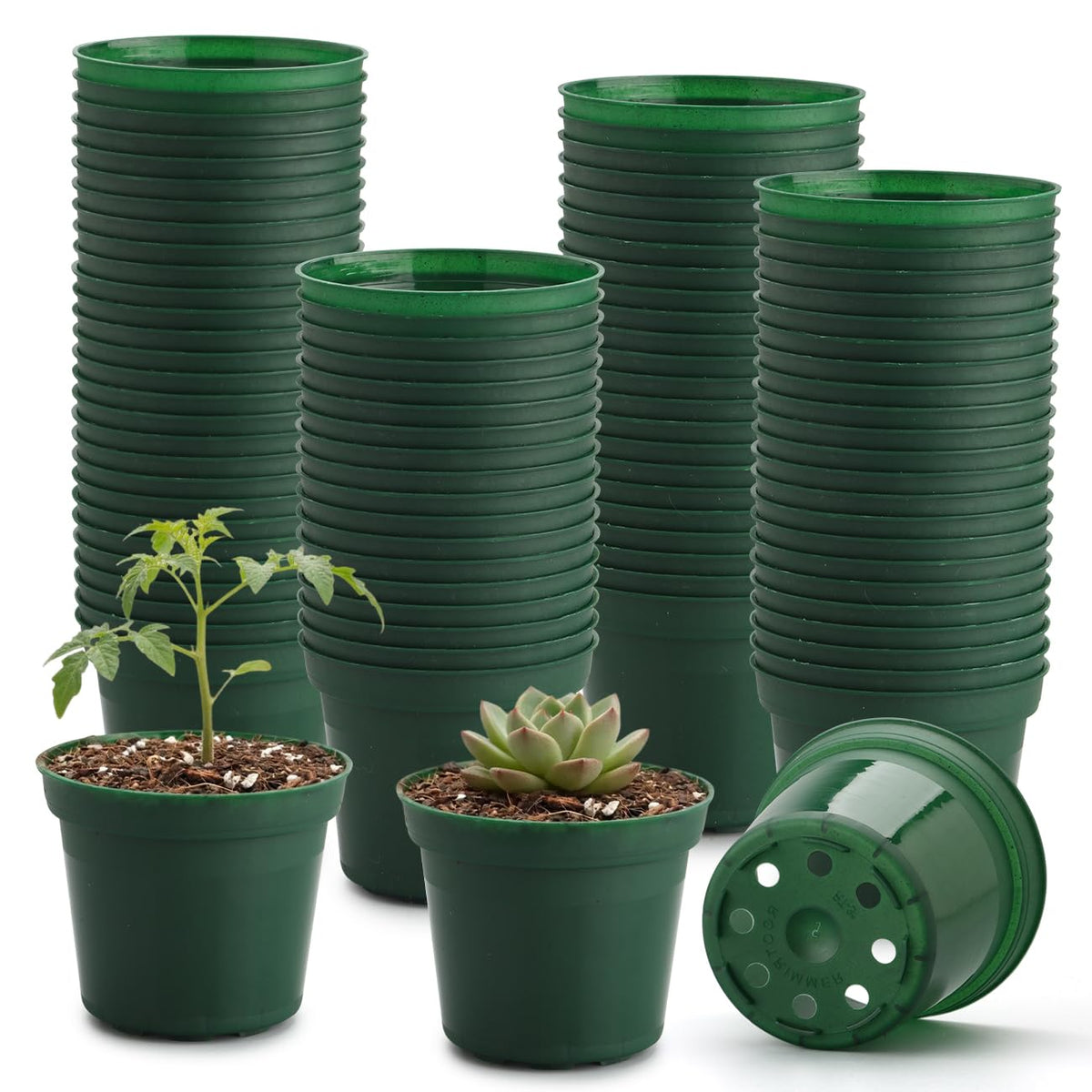 100 Pack 2.5" Clear Nursery Pots for Plants Seeds Starter Germination