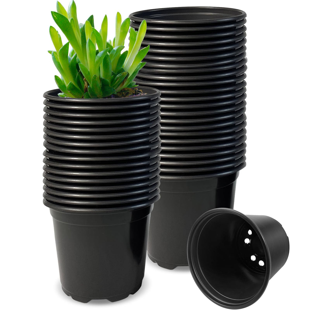 RAOOKIF 100 Pack Nursery Pots, 6 Inch Plastic Plant Pots with Drainage Holes, Black Garden Flower Pots for Transplanting, Succulents, Cuttings, Seedlings (6inch,100pcs)