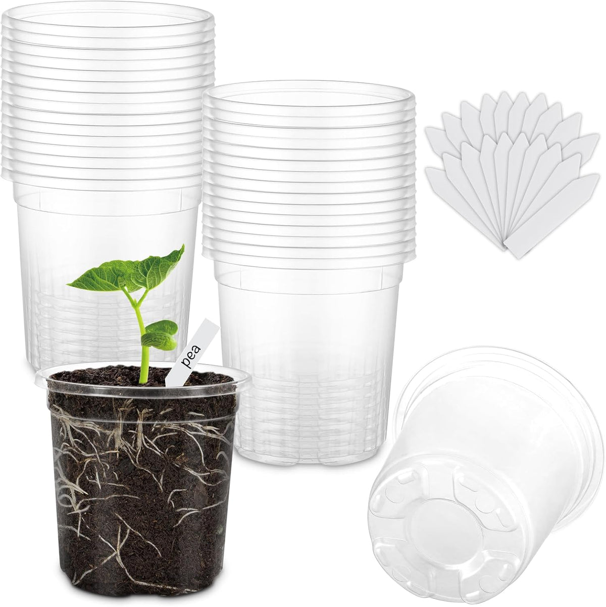 30 Pack Clear Nursery Plant Pots, 4 Inch with Drainage Holes, 20 Labels