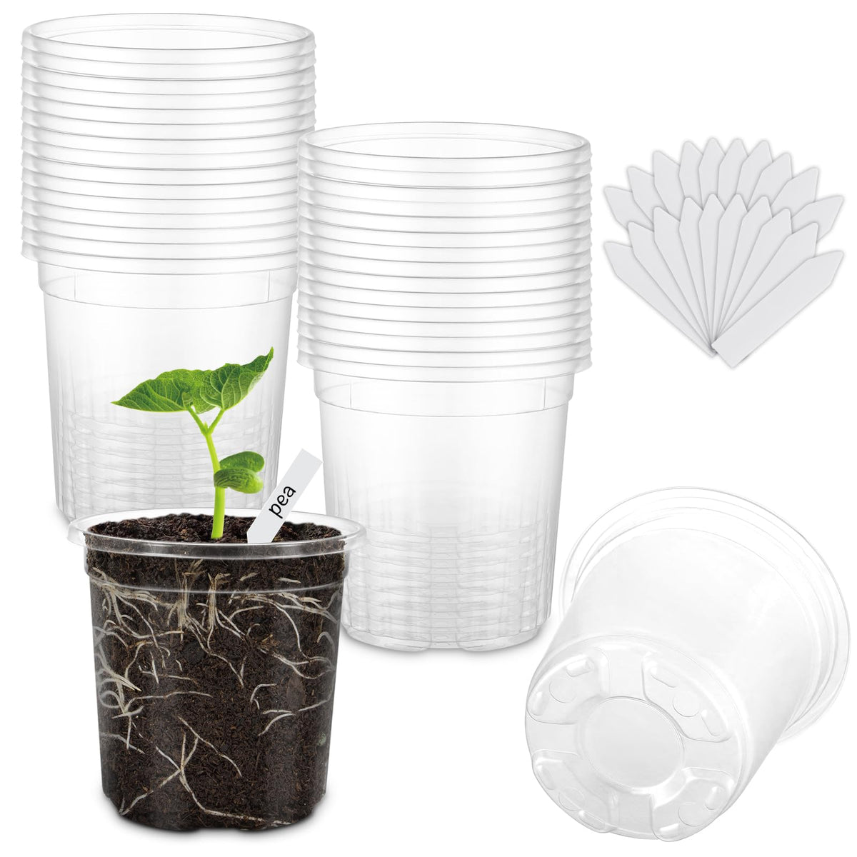 30 Pack Clear Nursery Plant Pots, 4 Inch with Drainage Holes, 20 Labels