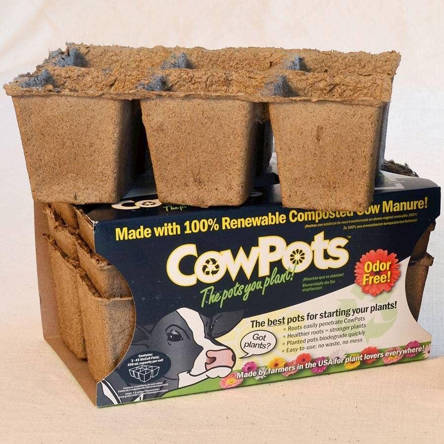 Park Seed CowPots 4-inch Tall Square Nitrogen-Rich Plant Seedling Starter, Set of 12