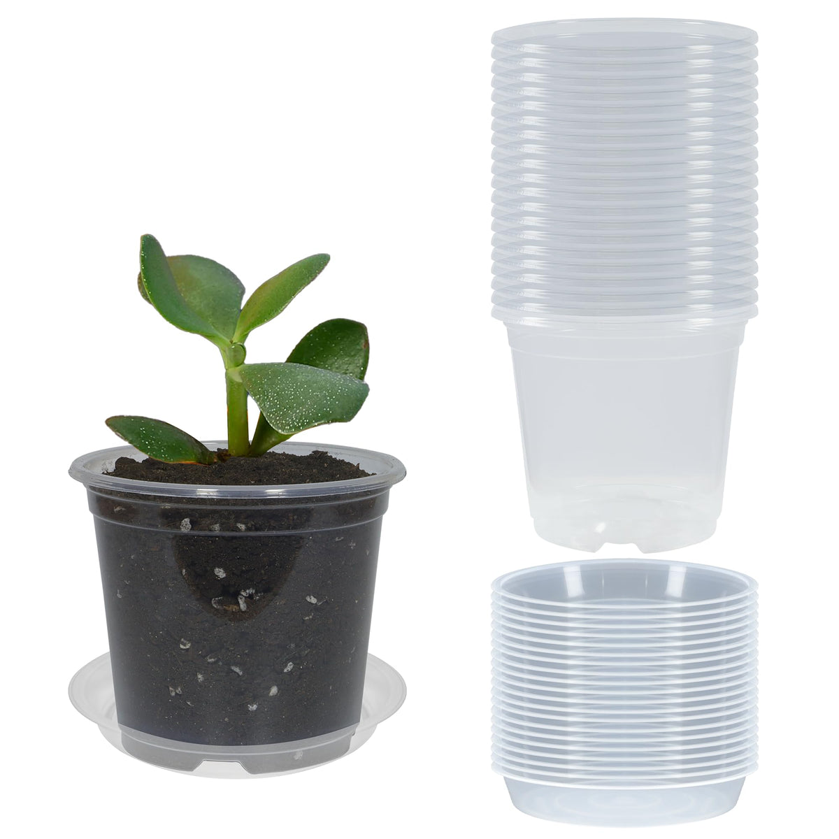 20 Pack 4 Inch Clear Nursery Pots with Drainage and 20 Pack Plant Saucers, Plant Pots for Plants Transparent Potting Containers for Plants Seeding Starter Pot (Clear, 4 Inch)