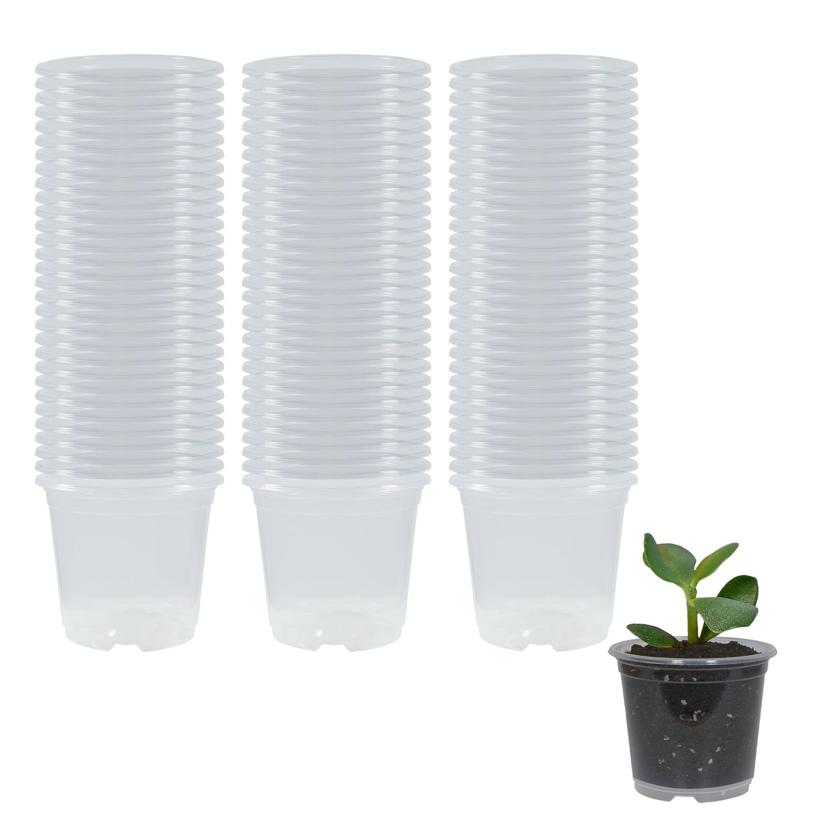 20 Pack 4 Inch Clear Nursery Pots with Drainage and 20 Pack Plant Saucers, Plant Pots for Plants Transparent Potting Containers for Plants Seeding Starter Pot (Clear, 4 Inch)