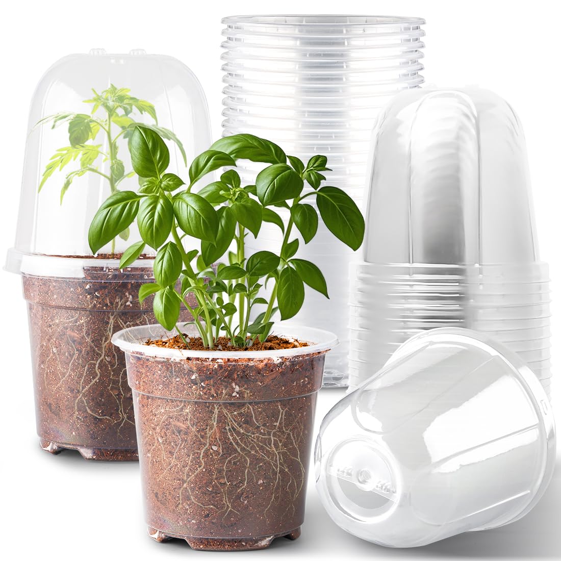 RooTrimmer Transparent Nursery Pots 3.5Inch with Humidity Domes for Seeds Starting, Clear Plastic Plant Pots with Drainage Holes (3.54Inch, 40Pcs,Clear Pots with Lids)
