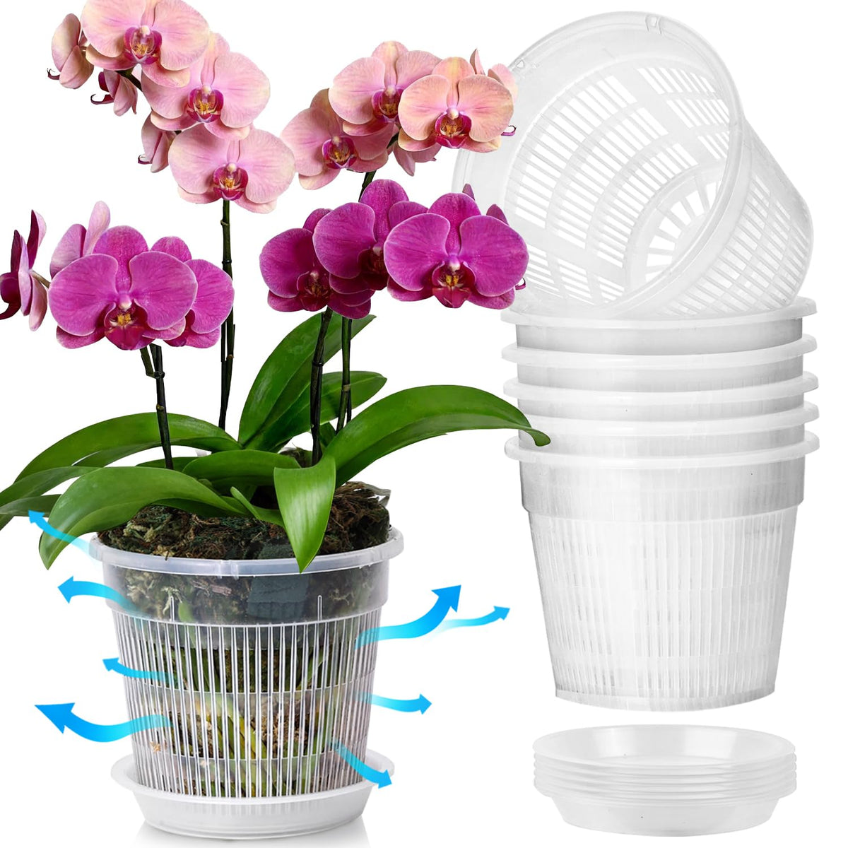 T4U Clear Orchid Pots 4.3 Inch 6 Pack, Orchid Pot with Holes Repotting