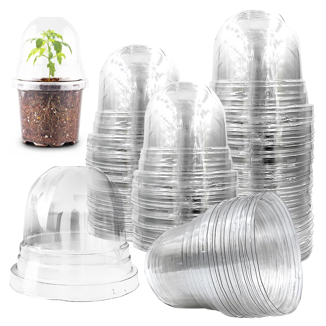 RooTrimmer Transparent Nursery Pots 3.5Inch with Humidity Domes for Seeds Starting, Clear Plastic Plant Pots with Drainage Holes (3.54Inch, 40Pcs,Clear Pots with Lids)