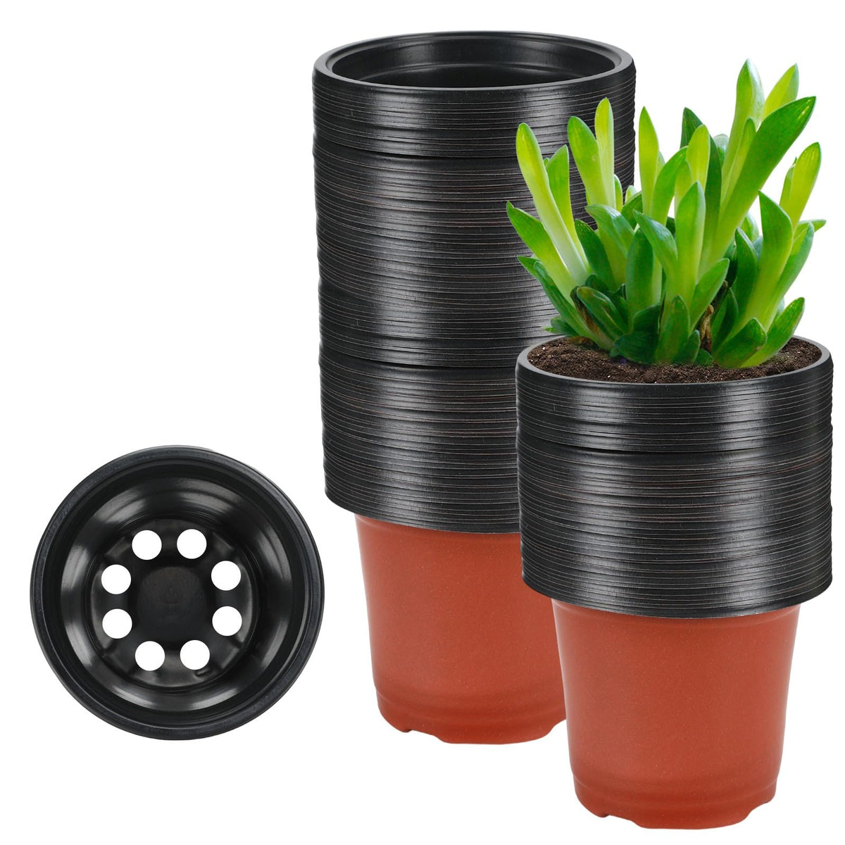 Augshy 110 Pcs 6 Inches Plastic Plants Nursery Pot, Seed Starting Pots
