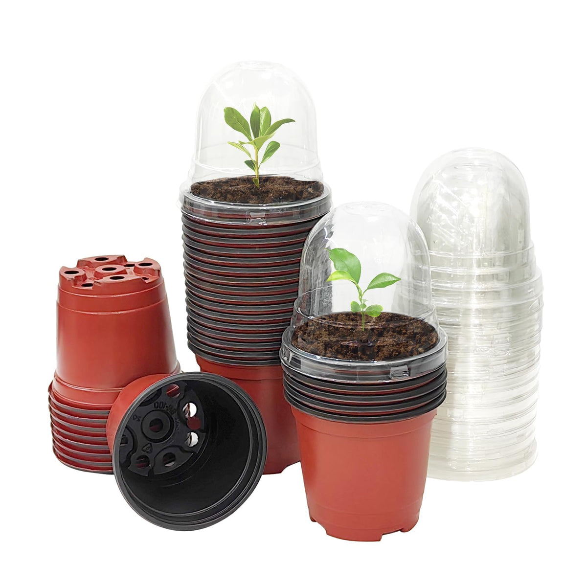 RooTrimmer Transparent Nursery Pots 3.5Inch with Humidity Domes for Seeds Starting, Clear Plastic Plant Pots with Drainage Holes (3.54Inch, 40Pcs,Clear Pots with Lids)