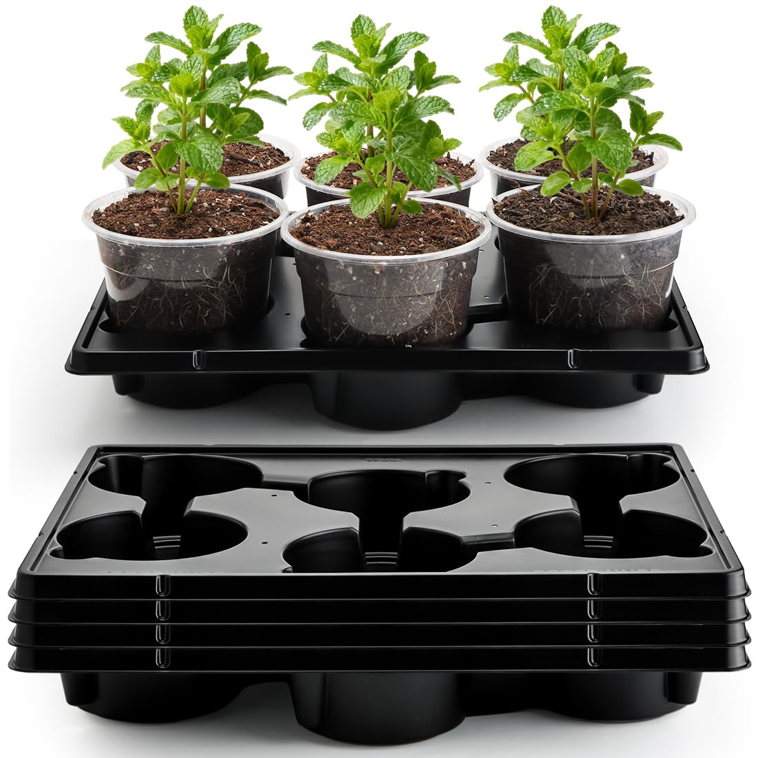 RooTrimmer 4 Inch 60 Pack Nursery Pots with Humidity Domes & 5 Pack 12 Cell Round Seedling Pot Carrying Trays, Sturdy Seeds Starter Pot Germination Set, Small Planter Nursery Propagation 5 Sets