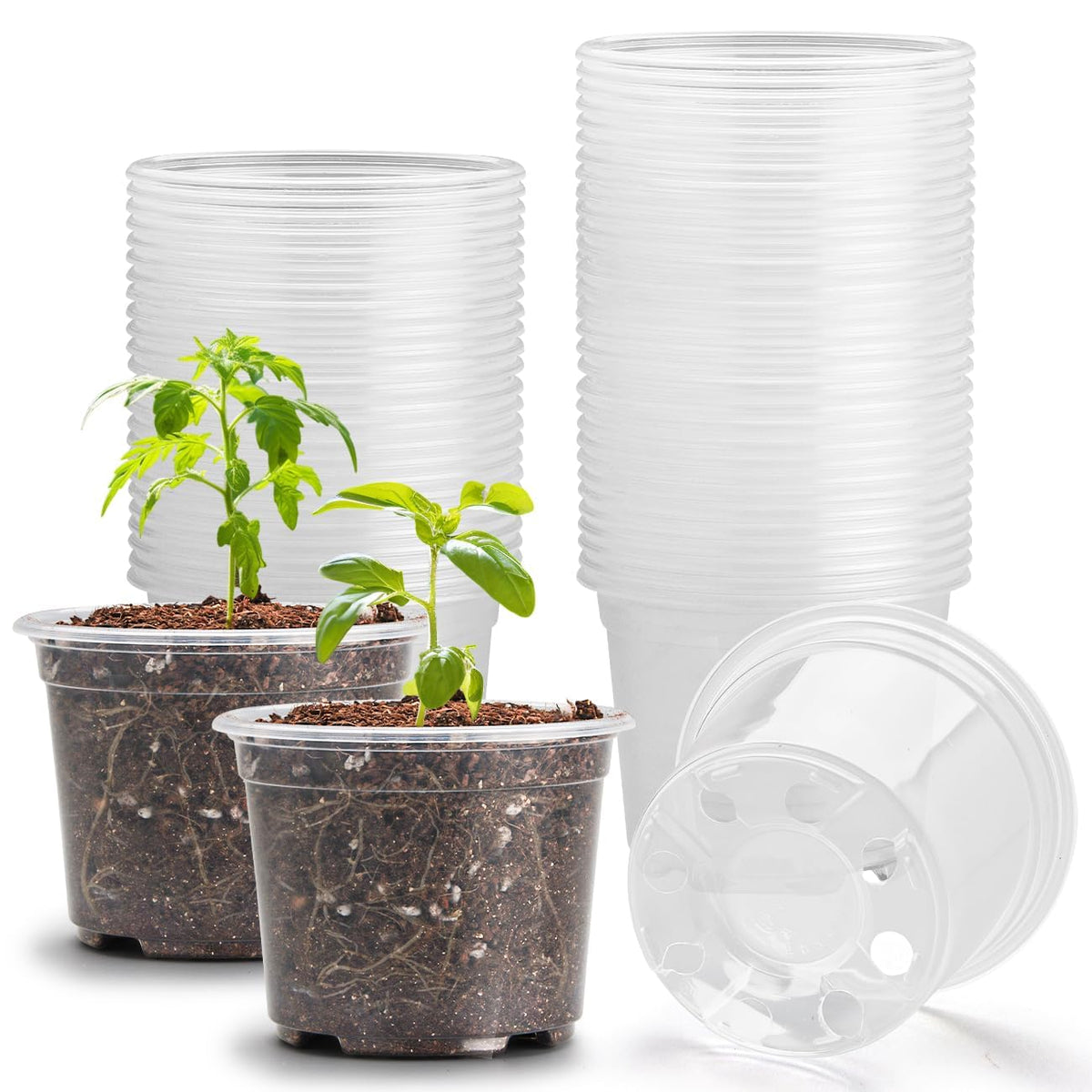 RooTrimmer 4" Clear Seeding Pots 50-Pack Round for Seeds Starting, Seeds Germination Transparent Nursery Pots with Drainage Holes (4Inch,Clear,50Pcs)