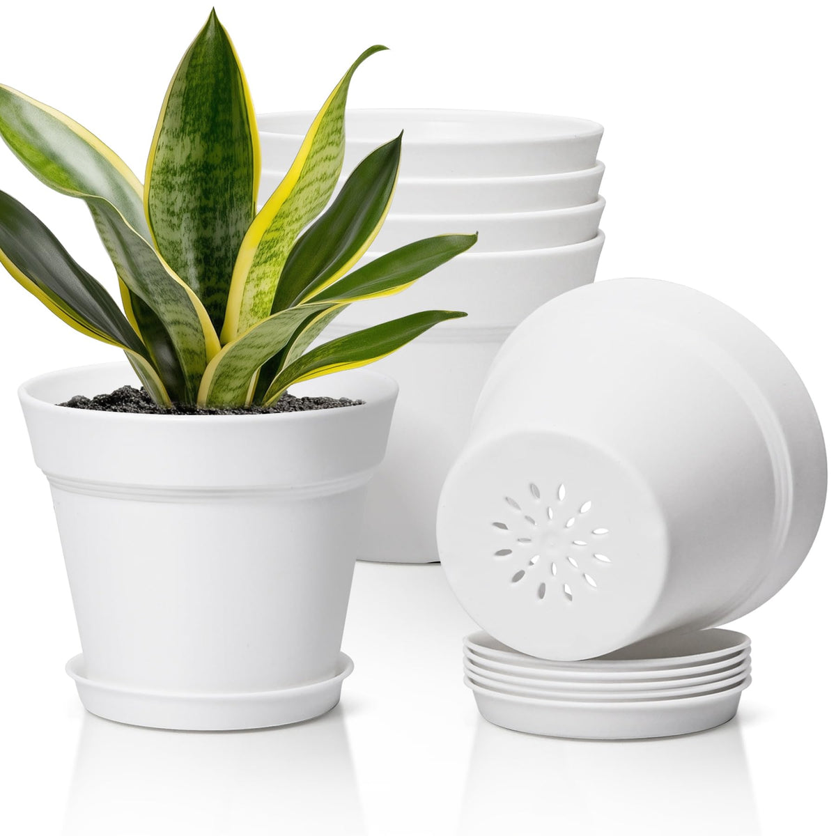 T4U Small Plant Pots 5 Inch 8 Pack, Plastic Indoor Flower Pots Saucer White