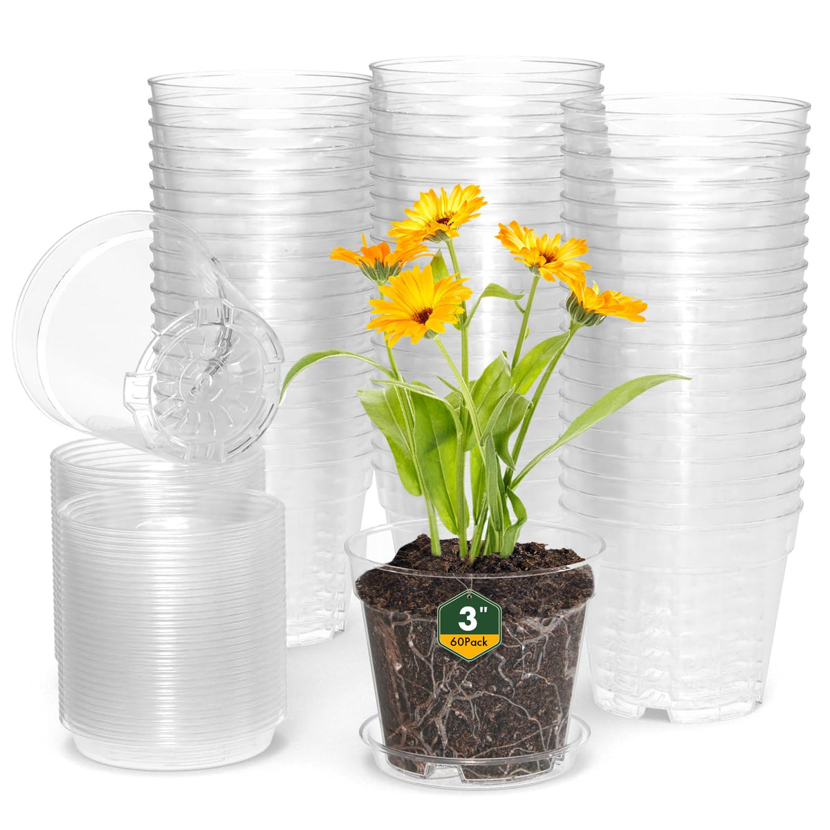 WSMKSZ 3 Inch Clear Nursery Pots, 30 Pack Highly Transparent Plastic Seedling Starter Planters with Drainage Holes and Trays for Flowers, Small Plant Pots for Indoor Plants