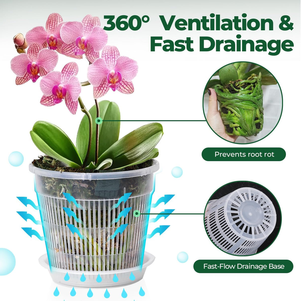 T4U Clear Orchid Pots 4.3 Inch 6 Pack, Orchid Pot with Holes Repotting