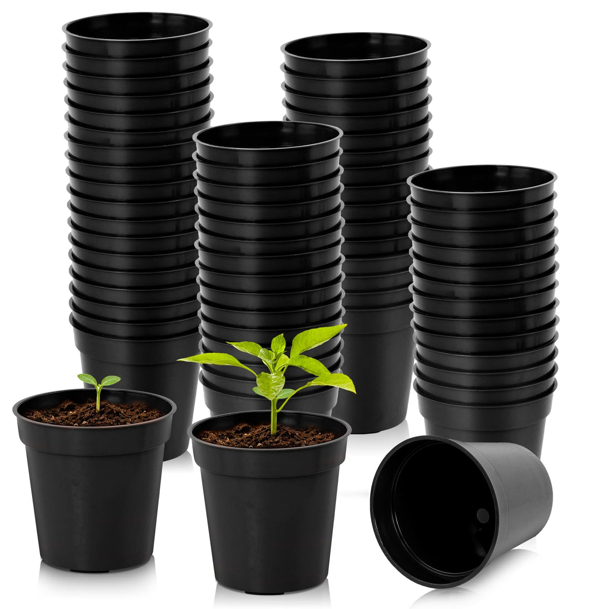 120 Pcs 2 Inch Clear Nurery Pots, Seedling Pots with Drainage Holes