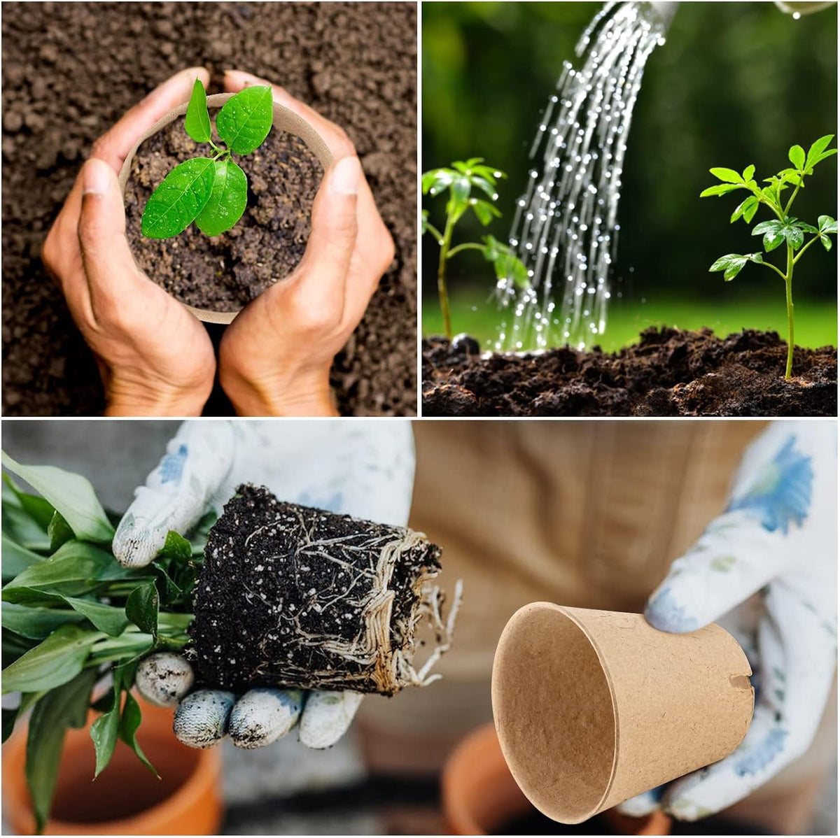 60-Pack 4” Biodegradable Peat Pots with 60 Plant Labels - Eco-Friendly Seedling Pots with Drainage Holes for Efficient Seed Starting and Garden Nursery Use