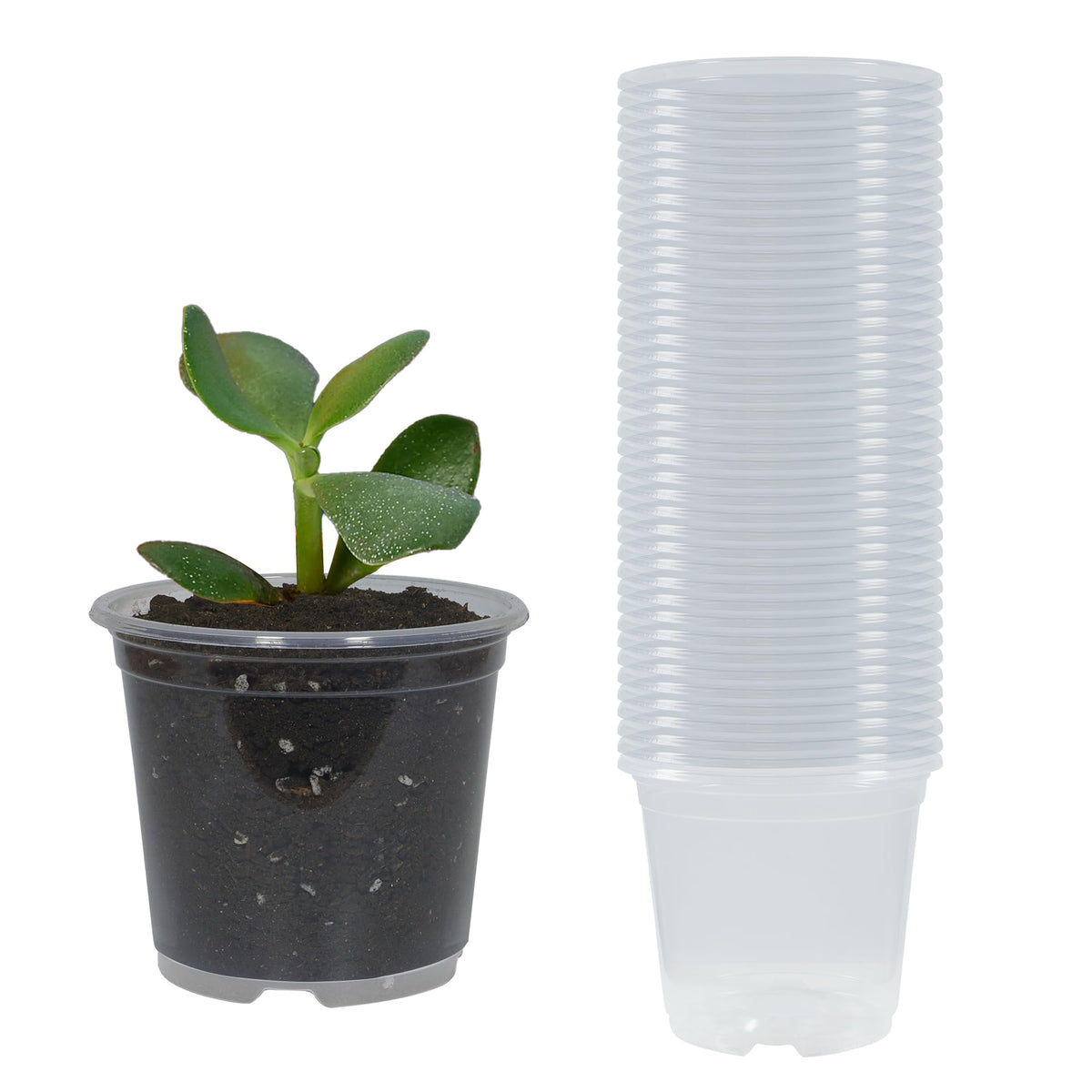 20 Pack 4 Inch Clear Nursery Pots with Drainage and 20 Pack Plant Saucers, Plant Pots for Plants Transparent Potting Containers for Plants Seeding Starter Pot (Clear, 4 Inch)