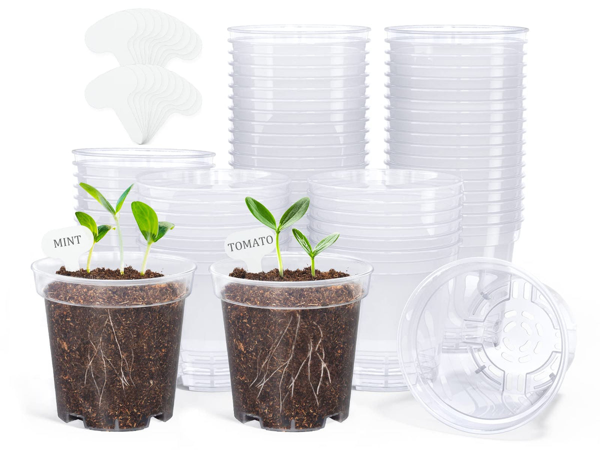 homenote 3/4/5 Inch Clear Nursery Pots with Drainage and 20 Labels (30 Pcs)