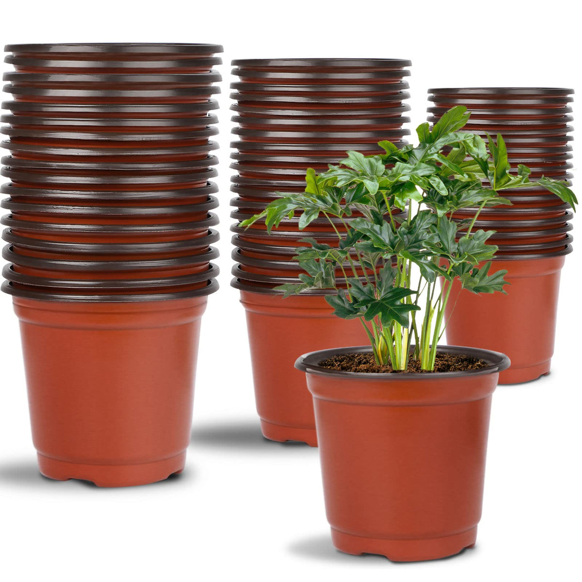Augshy 110 Pcs 6 Inches Plastic Plants Nursery Pot, Seed Starting Pots