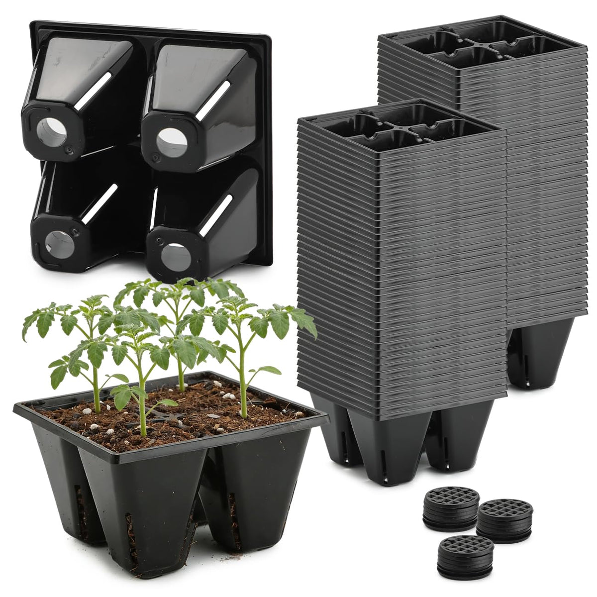 RooTrimmer 40 Pack Reusable 4-Cell Seed Starter Tray for Seedlings, Deep Large Cell Plant Starter Trays with Drainage Holes for Seed Germination, Easy Transplant, Fits Standard 1020 Flats, Black