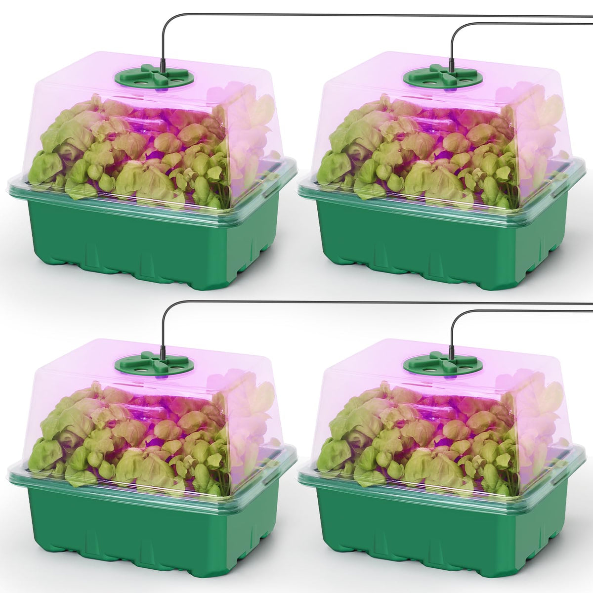 MIXC 6 Pack Seed Starter Kit with Grow Light, Vented Humidity Dome, Green